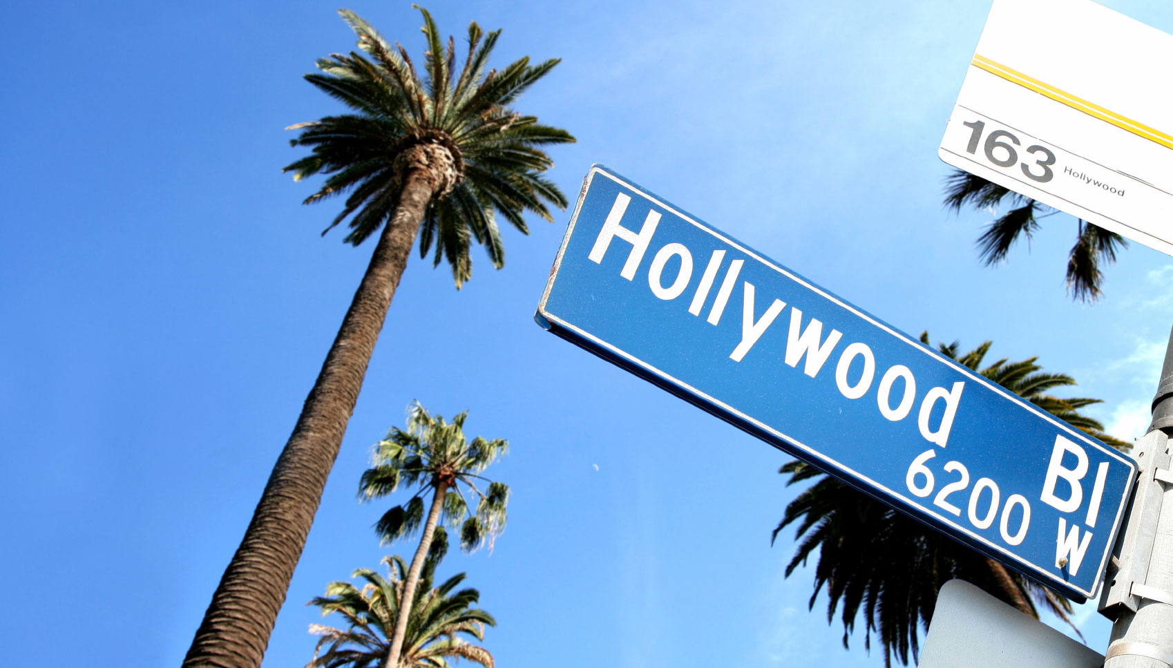 Hollywood Boulevard sign and palm tree
